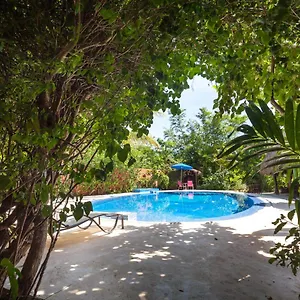 don-diego-de-la-selva-tulum.allrivieramayahotels.com/