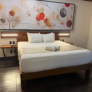 **** Hotel Kavia 5th Avenida (adults Only) Messico