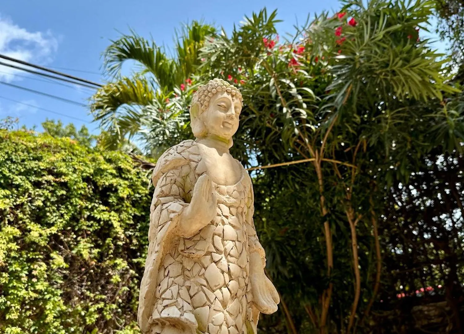 Pachamaya Holistic Wellness & Spa Cancún Hotel